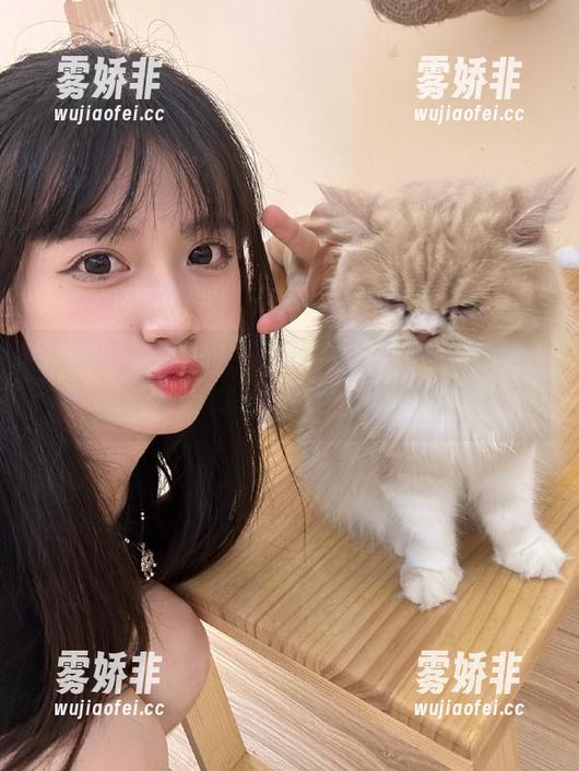 www.黑料 网址里藏的八卦,openwww.黑料感受小宇宙爆发!
