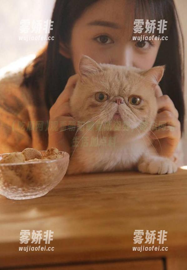 吃瓜网 观看朝阳懒觉新姿势,吃瓜网给生活加点料