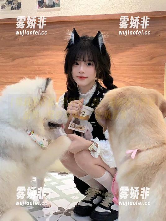 黑料不打烊：最新学习网址出炉，赶快来申请‘吃瓜资质’！